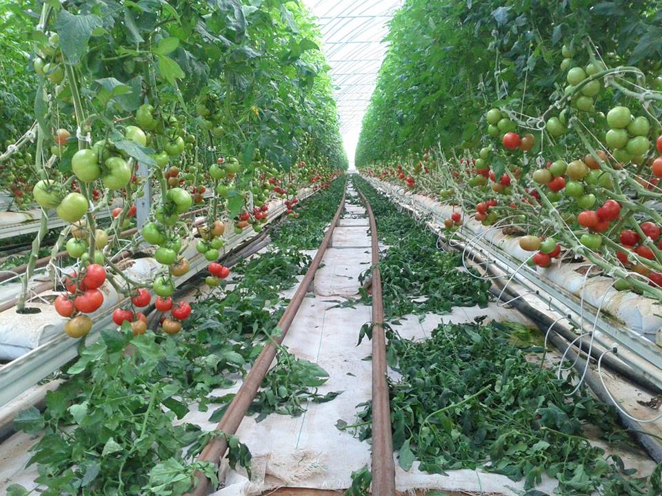 Prise de participation de HBG Holding au capital de La Cinquième Saison