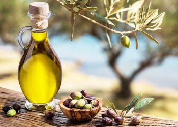 Huile d’olive : une circulaire de la BCT pour rééchelonner les dettes des producteurs