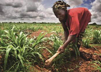 Afrique subsaharienne : la faim malgré les performances économiques