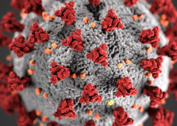 ONU: un plan de réponse humanitaire contre le Covid-19 avec un financement de 2 milliards de dollars