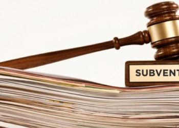 Une économie à deux monnaies pour remédier aux problèmes des subventions ?