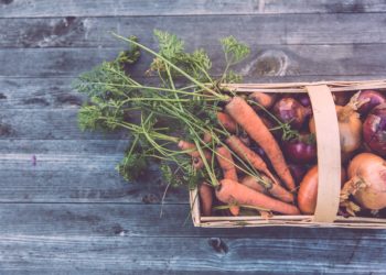 L’agriculture à votre porte