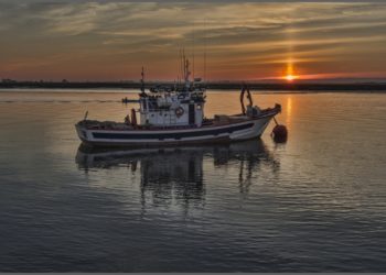 C’est officiel: le Forum de la Mer de Bizerte se tiendra les 15 et 16 juillet 2020
