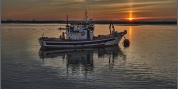 C’est officiel: le Forum de la Mer de Bizerte se tiendra les 15 et 16 juillet 2020