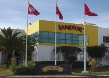 Une hausse de 77% du bénéfice de Land’Or en 2020