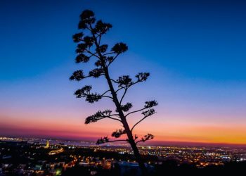 Tourisme: y aura-t-il un retour à la normale ?