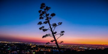 Tourisme: y aura-t-il un retour à la normale ?