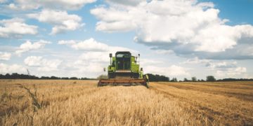 Quel impact de la crise sanitaire sur les exportations agricoles tunisiennes ?
