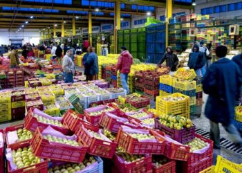 SOTUMAG distribuera ses dividendes à 0.140 Dinar par action