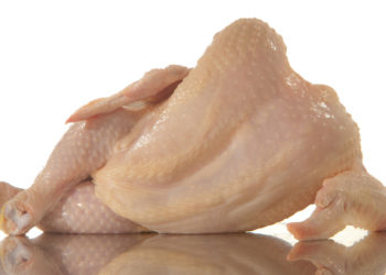 Une perte de 10 millions de dinars en 2019 pour Sopat