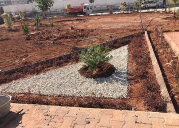 Ibtissem Ben Ahmed transforme les points noirs dans les municipalités défavorisées en des espaces verts