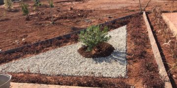 Ibtissem Ben Ahmed transforme les points noirs dans les municipalités défavorisées en des espaces verts