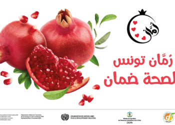 Les vertus de la Grenade de Tunisie