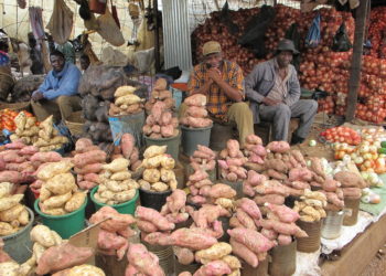 Le digital peut aider à séduire l’informel à joindre les canaux officiels de l’économie, selon Google et la Société financière internationale