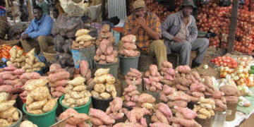 Le digital peut aider à séduire l’informel à joindre les canaux officiels de l’économie, selon Google et la Société financière internationale