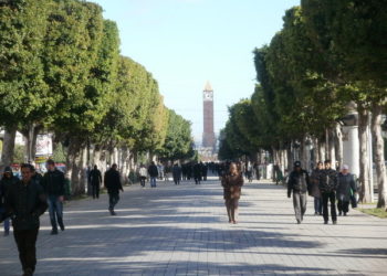 Indice de Développement Humain: la Tunisie fait pire que l’Algérie et le Liban