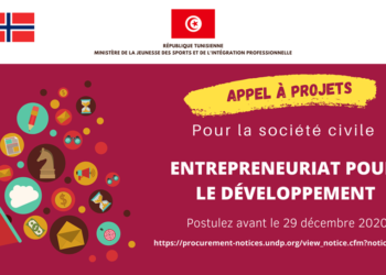 PNUD : Appel à projets pour développer l’écosystème entrepreneurial dans les régions du Sud