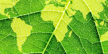 Où sommes-nous des normes ESG ?