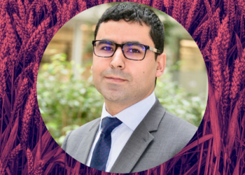 Hausse de 40% des prix des céréales sur les marchés internationaux: un expert tire la sonnette d’alarme