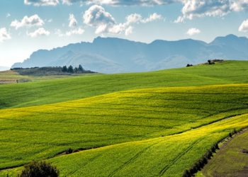 Lancement de GreenWorks, un programme de soutien aux startups opérant dans l’économie verte