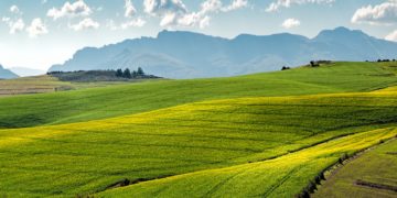 Lancement de GreenWorks, un programme de soutien aux startups opérant dans l’économie verte