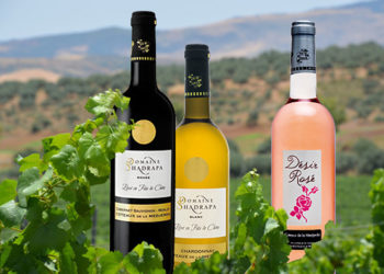 Une année exceptionnelle pour le vignoble domaine Shadrapa