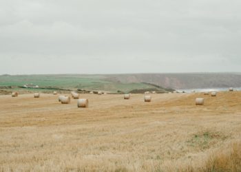 En 2020, l’économie nationale s’est contractée de 8.8%