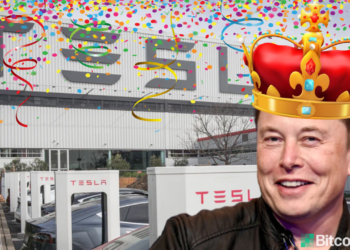Tesla : Elon Musk officiellement proclamé Technoking; son CFO est désormais Master of Coin