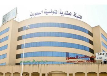 La SITS multiplie par huit ses revenus en 2020