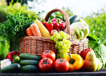 Cepex: ouverture des candidatures pour la participation au salon international de l’agroalimentaire en Allemagne