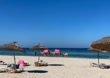 La croissance en Tunisie serait de 3.8% en 2021, d’après un rapport du FMI