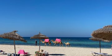 La croissance en Tunisie serait de 3.8% en 2021, d’après un rapport du FMI