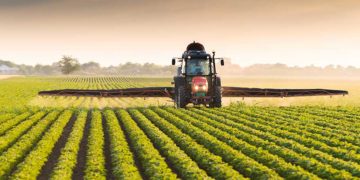 Il faut investir plus de 114 mille dinars pour créer un poste d’emploi en agriculture