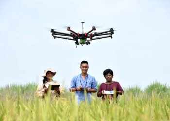 Le programme Agri-Tech cherche 5 startups tunisiennes pour les aider à développer leurs activités en Afrique de l’Ouest