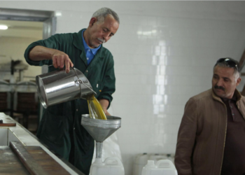 La Tunisie classée 84ème dans le monde pour la résilience de son marché du travail