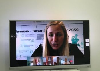 Énergies renouvelables: la Tunisie veut séduire les entreprises danoises