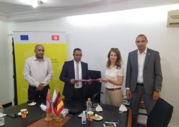D4D : des incubateurs de GIZ pour la diaspora tunisienne présents dans 8 villes