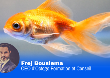 Infobésité, gestion du temps et neuromanagement