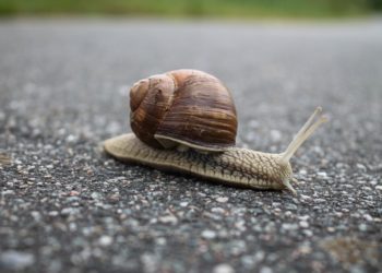 D’après Branper, 70% des clients internet comptent changer de fournisseur dans les prochains 6 mois