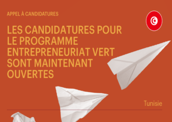 Vous êtes un entrepreneur vert? The Switchers a besoin de vous