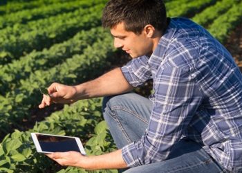 Entrepreneuriat agricole : Appel à candidatures pour le projet ProAgro des micros entreprises