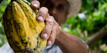 ONU : dépasser la dépendance aux produits de base grâce au renforcement technologique