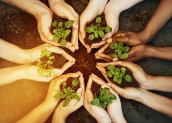 Global Greengrants Fund offre 5 mille dollars aux groupements tunisiens actifs dans des causes environnementales locales