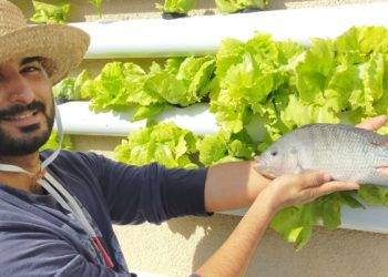 Sofiene Rouis : “L’aquaponie permet de produire des légumes et des poissons sains”