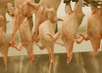 Sopat n’arrive toujours pas à sortir du rouge