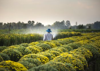 APIA : diminution de 23,8% des opérations d’investissement déclarées par rapport au plan quinquennal 2016-2020