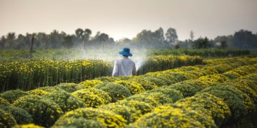 APIA : diminution de 23,8% des opérations d’investissement déclarées par rapport au plan quinquennal 2016-2020