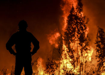 Hausse de 322% de la surface forestière brûlée en 2021