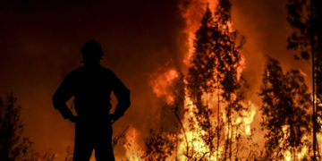 Hausse de 322% de la surface forestière brûlée en 2021