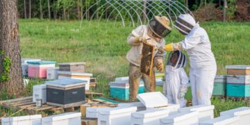 CEFA : un programme qui encourage l’insertion professionnelle des femmes installées à Jendouba